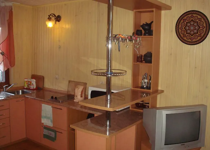 Zolota Rybka Skhidnytsia
